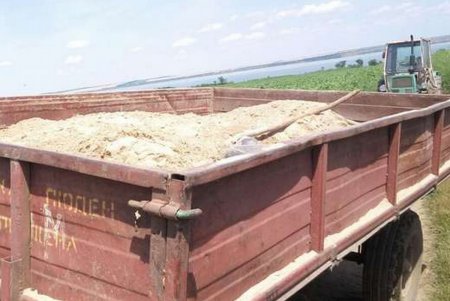 Пограничники пресекли незаконную добычу песка в Одесской области (фото)