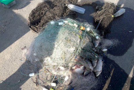 В Одесской области правоохранители пресекли незаконный вылов рыбы (фото) 