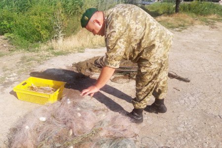 В Одесской области правоохранители пресекли незаконный вылов рыбы (фото) 