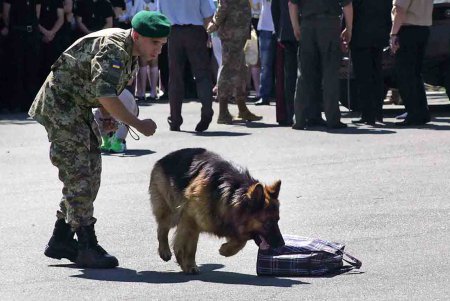 Военные и одесские нацгвардейцы провели тематическую демонстрацию (фоторепортаж)