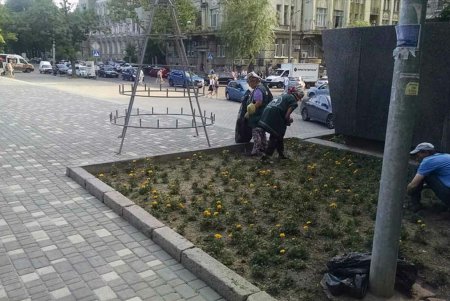 Зеленое многообразие Городского сада разбавили газоустойчивые деревья (фото)