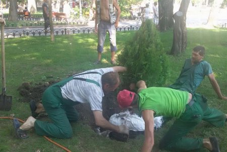 Зеленое многообразие Городского сада разбавили газоустойчивые деревья (фото)