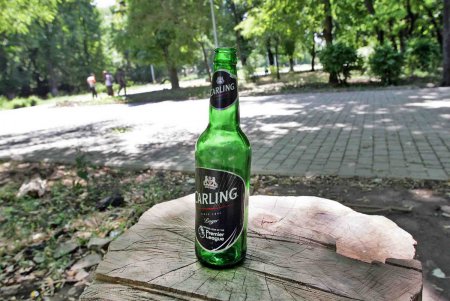 «Преображенский»: новая жизнь парка начинается от нового забора (фоторепортаж)