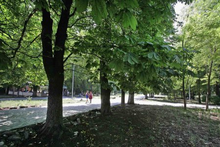 «Преображенский»: новая жизнь парка начинается от нового забора (фоторепортаж)
