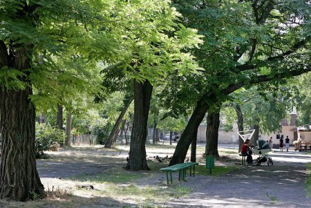 В Одессе будет немецкий сквер (фоторепортаж)