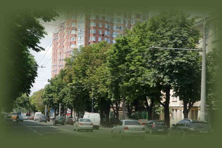 Одесские журналисты массово не испугались хоть и минирующей, но моли (фоторепортаж)