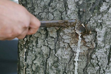 Одесские журналисты массово не испугались хоть и минирующей, но моли (фоторепортаж)