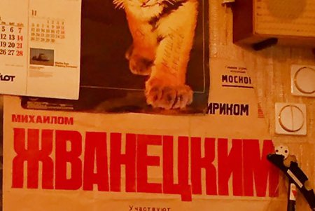 Михаил Жванецкий зашел в свое детство (фото)