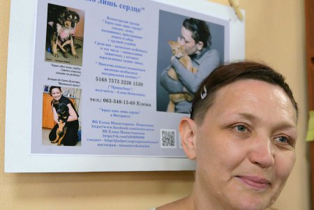Обычная библиотека стала территорией царственных существ (фоторепортаж)