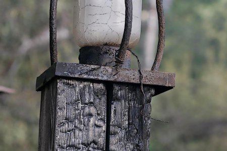«Ланжерон» как-то так осиротел... (фоторепортаж)