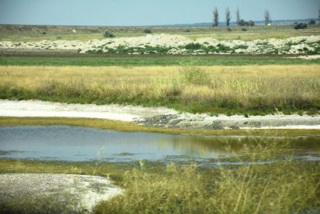 На пересыхающем Тилигульском лимане уже надеются развивать экотуризм (фото)