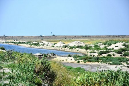 На пересыхающем Тилигульском лимане уже надеются развивать экотуризм (фото)
