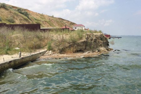 Жара: в Хаджибейском лимане задохнулась даже рыба (фото) 