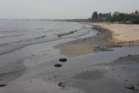 Здоровьем моря в районе «Молодой гвардии» займется областная комиссия (фото)