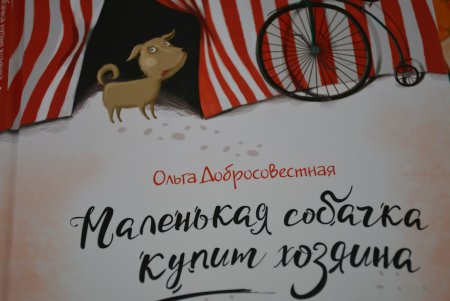 «Зеленая волна» в Одессе: книги на любой вкус, цвет, переплет и язык (фото)