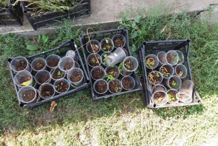 Миллионный бизнес: правоохранители задержали организованную преступную группировку (фото, видео)