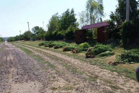 Миллионный бизнес: правоохранители задержали организованную преступную группировку (фото, видео)