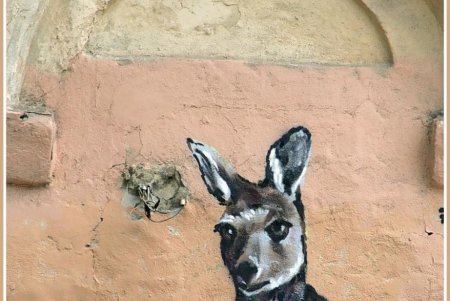 Одесса в ее некоторых изящных деталях (фоторепортаж)