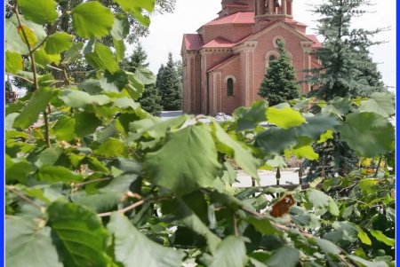 Уголок поющей Армении в красотах одесской Аркадии (фоторепортаж)