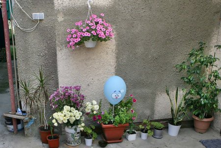Настоящие одесситы, влюбленные в Маму, украшают свой двор (фоторепортаж)
