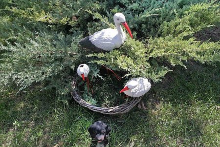 Настоящие одесситы, влюбленные в Маму, украшают свой двор (фоторепортаж)