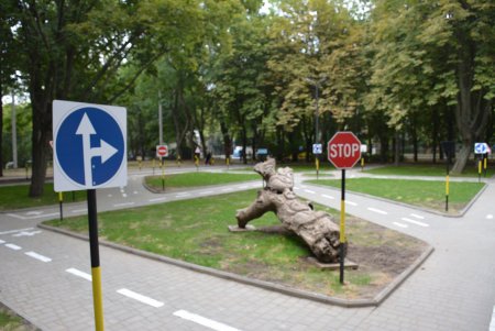 В Малиновском районе Одессы создана ункально-познавательная площадка (фото)