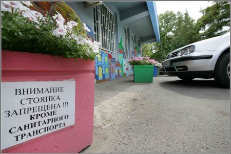 Добрые «монстры» подлечили больницу (фоторепортаж)
