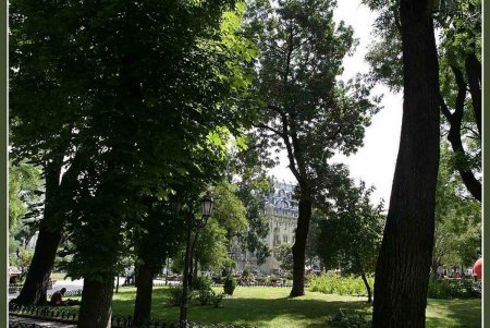 Одесский Горсад: между историей, праздником и… праздником (фоторепортаж)