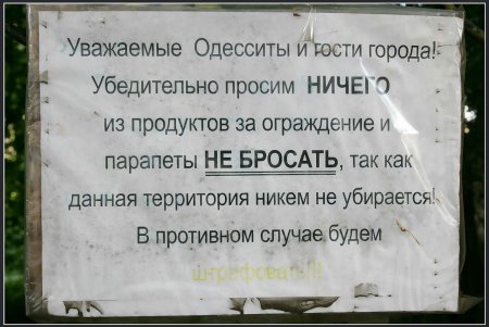 Заброшенный детсад наполнится голосами будущего (фоторепортаж) 