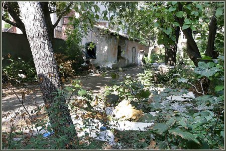 Заброшенный детсад наполнится голосами будущего (фоторепортаж) 