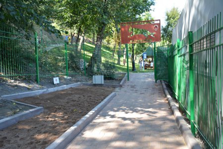 В Стамбульском парке теперь нашлось место и для «собачьей цивилизации» ((фото) 