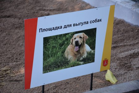 В Стамбульском парке теперь нашлось место и для «собачьей цивилизации» ((фото) 