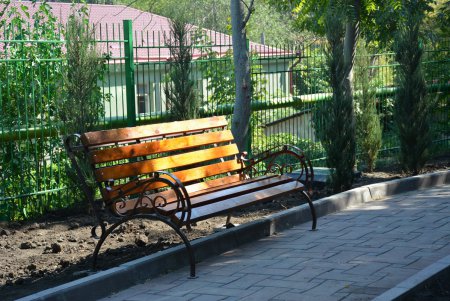 В Стамбульском парке теперь нашлось место и для «собачьей цивилизации» ((фото) 