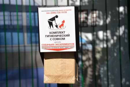 В Стамбульском парке теперь нашлось место и для «собачьей цивилизации» ((фото) 