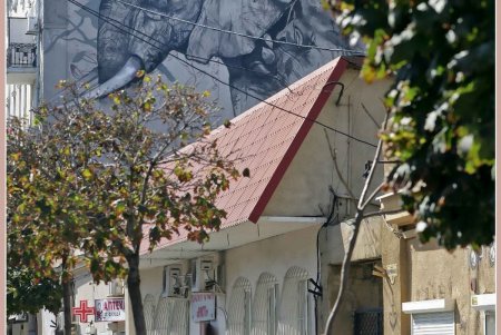 На Тираспольской улице Одессы пропишется заморский муральный зверинец (фоторепортаж)