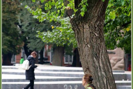«Летучий голландец» улетучивается из Старобазарного сквера (фоторепортаж)