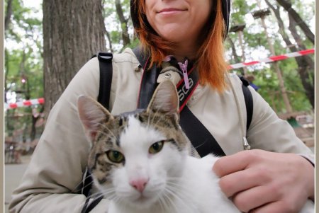  Коты — часть экосистемы Одессы (фоторепортаж)