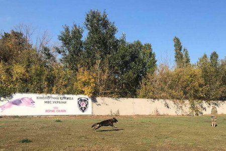 Одесские правоохранители поздравили с юбилеем хвостатого «генерала» (фото)