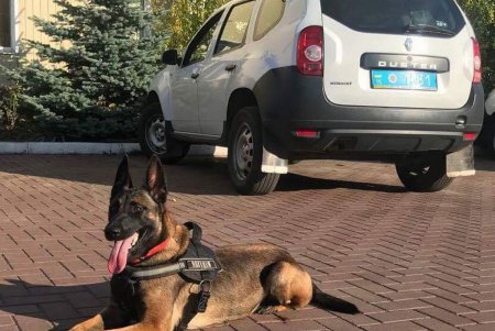 Одесские правоохранители поздравили с юбилеем хвостатого «генерала» (фото)