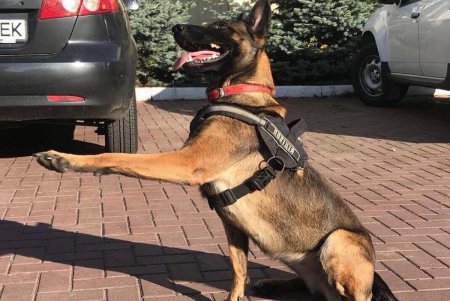Одесские правоохранители поздравили с юбилеем хвостатого «генерала» (фото)