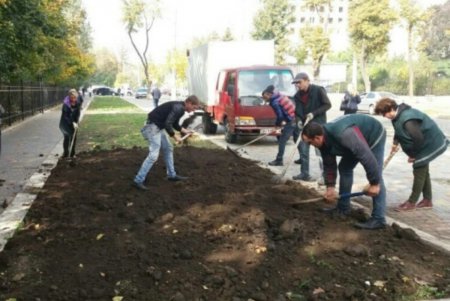 В Одессе продолжается массовое озеленение парков и скверов (фото)