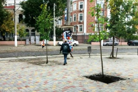 В Одессе продолжается массовое озеленение парков и скверов (фото)