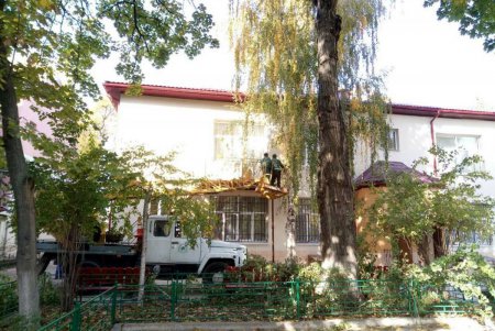 В Одессе продолжается массовое озеленение парков и скверов (фото)