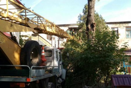 В Одессе продолжается массовое озеленение парков и скверов (фото)