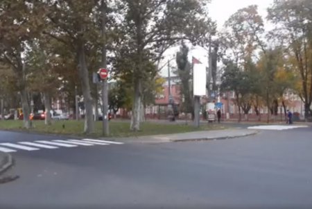 Коммунальщики обновили разметку в районе Адмиральского проспекта (фото)
