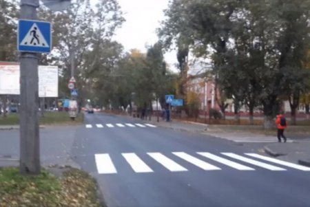 Коммунальщики обновили разметку в районе Адмиральского проспекта (фото)