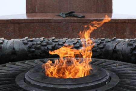 На Аллее Славы прошли официальные мероприятия к 73-й годовщине освобождения Украины (фото)