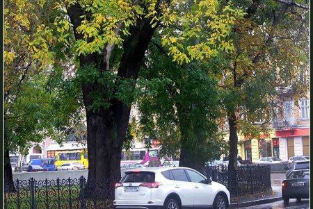 А вы давно гуляли под дождем? (осенний фоторепортаж)