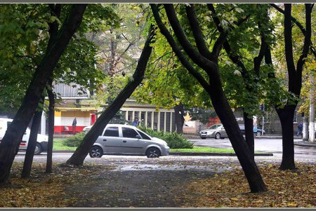 А вы давно гуляли под дождем? (осенний фоторепортаж)