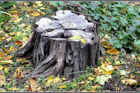 Молдаванка прощается с последними искорками лета (фоторепортаж)